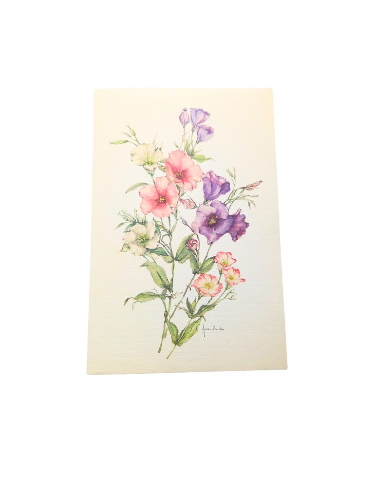 Lisianthus (5 per pack)