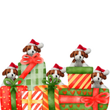 Special Limited Edition MND NSW Christmas Puppy